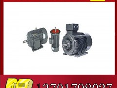 YBK2-100L2-4늙C(j)չr(ji)**