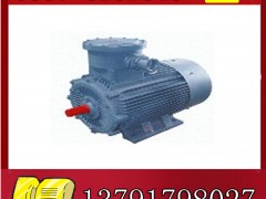YBK2-315M-6늙C