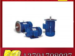YBK2-315L2-6늙C