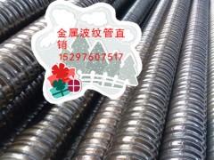 AAٲy 55mm\+|(zh)=