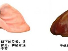 i컯O