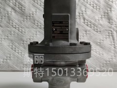 FISHERMϣMR95HpyMR95HҺw{